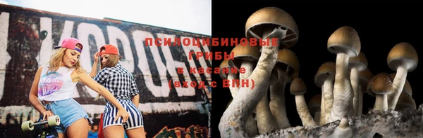 дмт Бугульма
