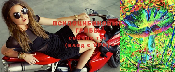 дмт Бугульма