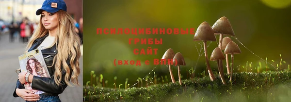 герыч Бородино
